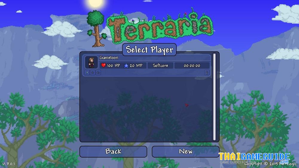 Terraria-Play-LAN-Online-03
