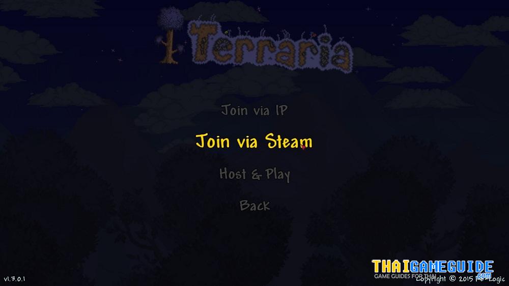 Terraria-Play-LAN-Online-05