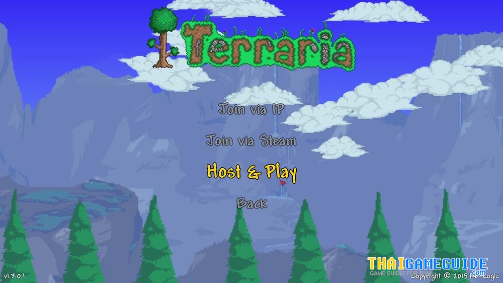 Terraria-Play-LAN-Online-06