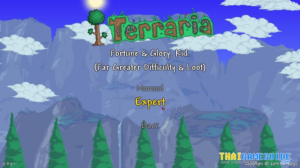 Terraria-Play-LAN-Online-11