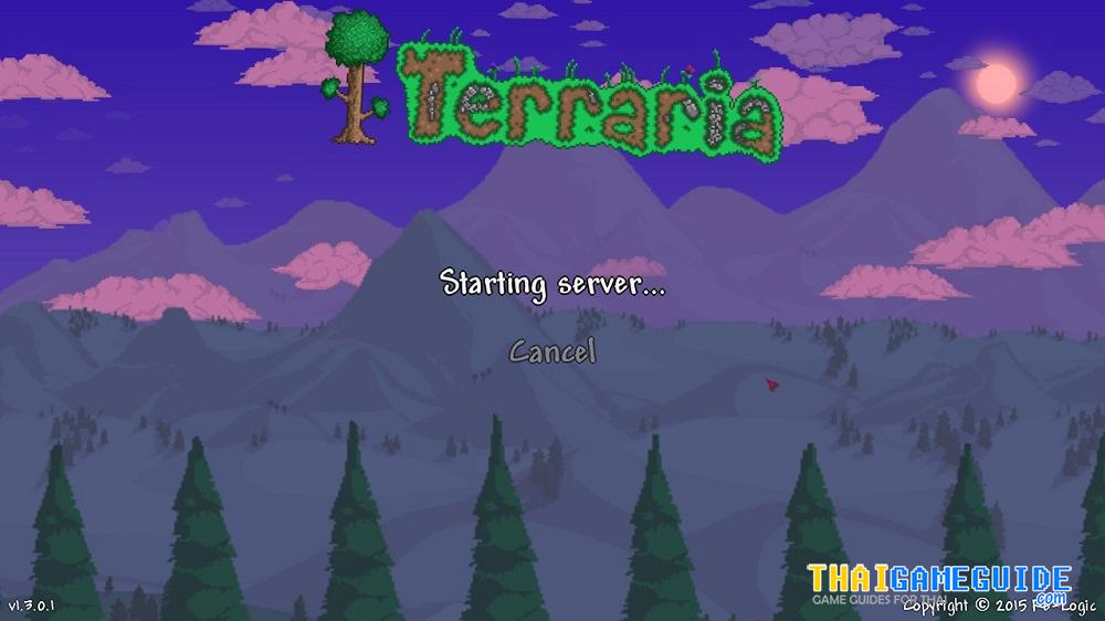 Terraria-Play-LAN-Online-18